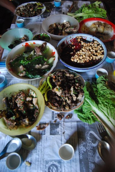 Typical Lao Feast 