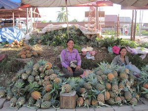 Pineapple Vendor
