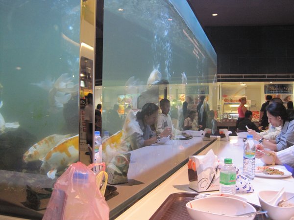 Fish Tank at My Lunch Table at the Mall