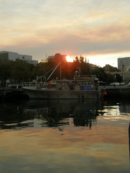 P2ikeseloojang Hobarti sadamas