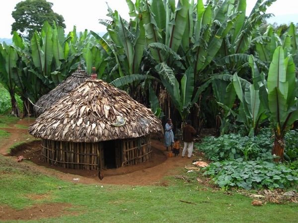 LOCAL HOUSES MADE OF BANANA LEAVES