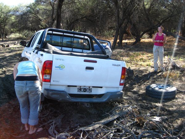 GETTING BOGGED