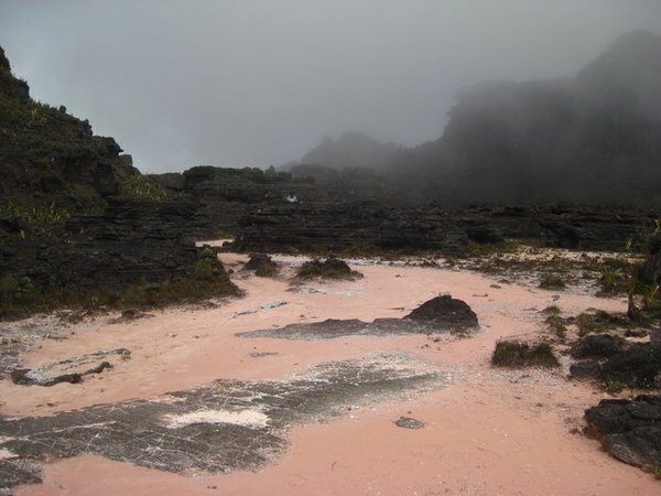 Pink sands and fog