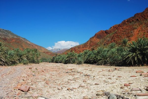 dry wadi