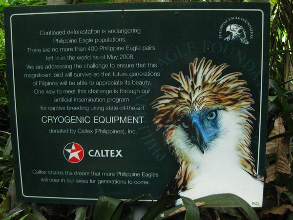 Eagle conservation center