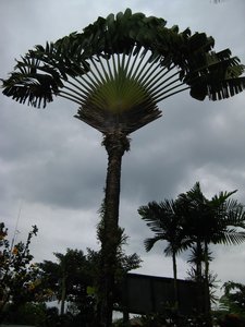 Punta Isla Resort, Lake Sebu