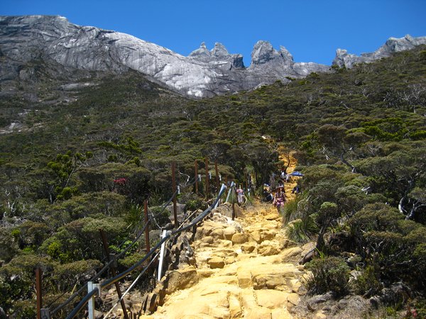 Mt. Kinabalu trek 