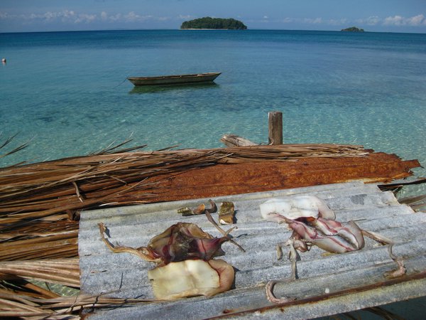 Maliangin island, drying squid