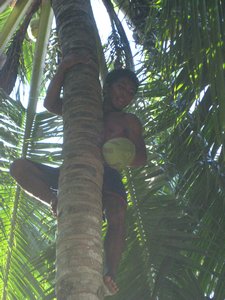 Robbie getting some coconut
