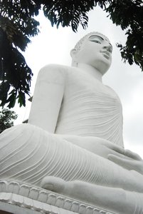 Kandy:Sri Maha Bodhi