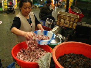 local fish market, Chengdu