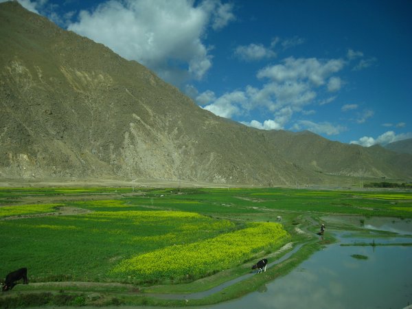 Lhasa to Xian train scenery