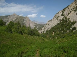 Gokhona valley