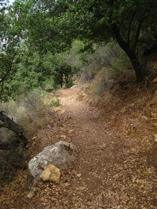 Qadisha valley hike