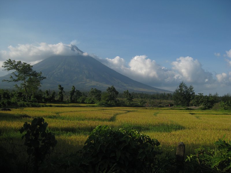 Mayon
