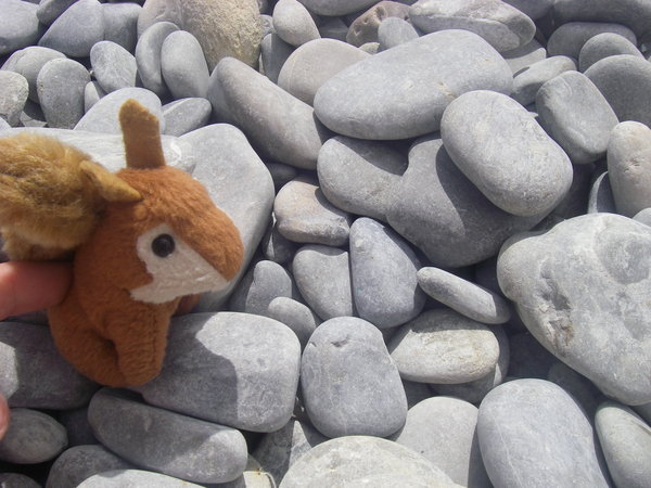 Eric on the pebble beach