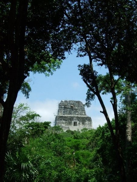 Temple IV at Tikal