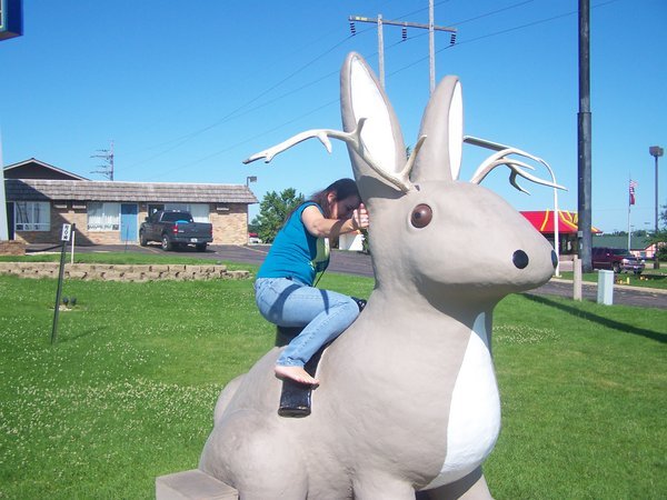 mom and the jackalope