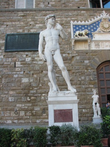 Statue of David (480x640)