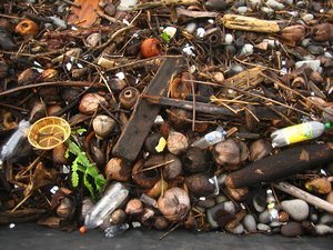  beach debris