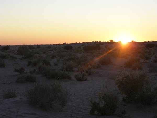 Desert Sunset