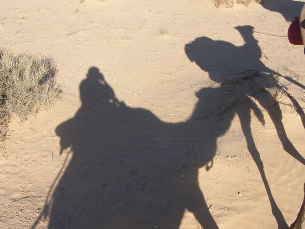 Shadows in the sand!