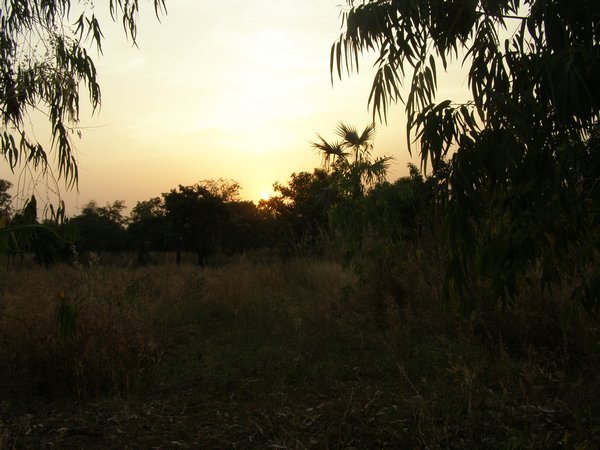 Sunset on our Dedougou experience!