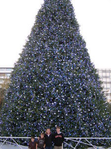 Syntagma Square Christmas Tree
