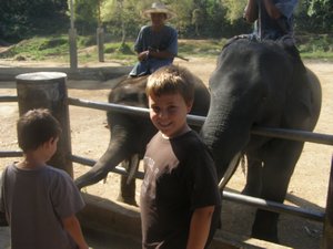 Elephant Training Centre