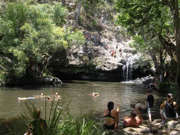 Rock pool of Kondalilla Falls