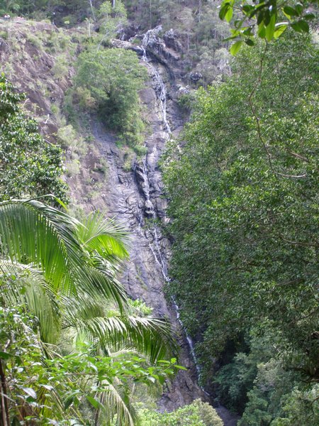 Kondalilla Falls are very tall!
