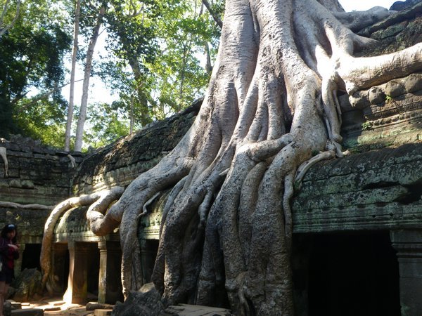 Ta Prohm