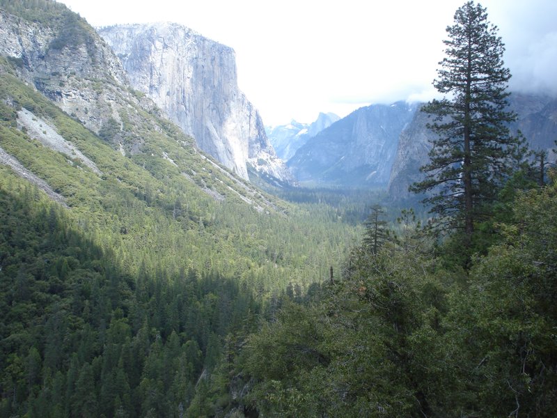 Yosemite Canyon