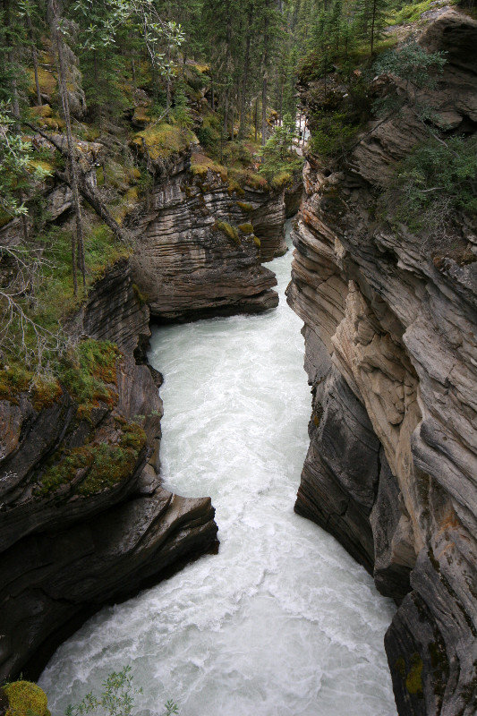 Icefields_Athabasca Falls