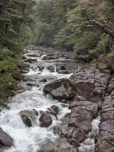Rapids in Yakusugi Land