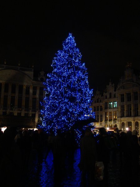 Christmas Tree in the Grand Place