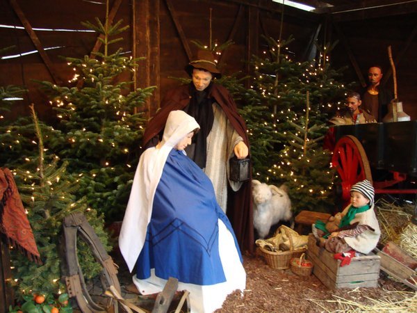 Nativity scene in the Grote Markt