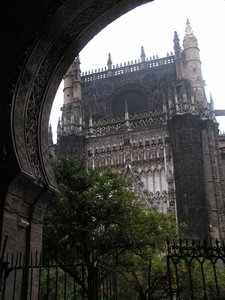 Day 5 - View of the Seville Cathedral
