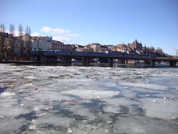Frozen Canal