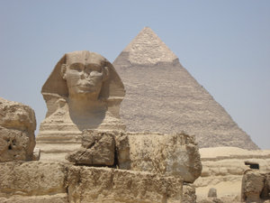Egypt 310