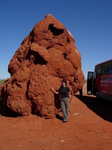 Giant Termite hill.