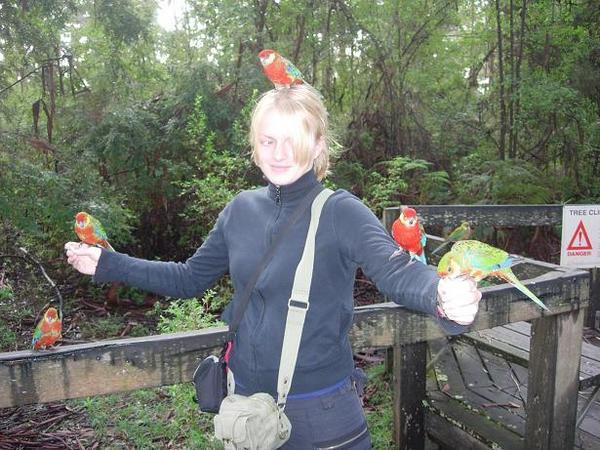 Allison with her birdie friends.