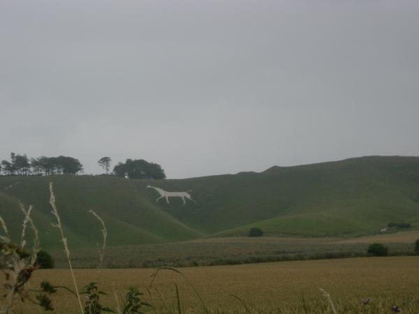 Is that a white horse on a hill?