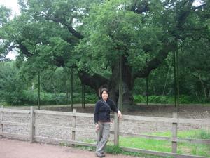 Me in Sherwood Forest