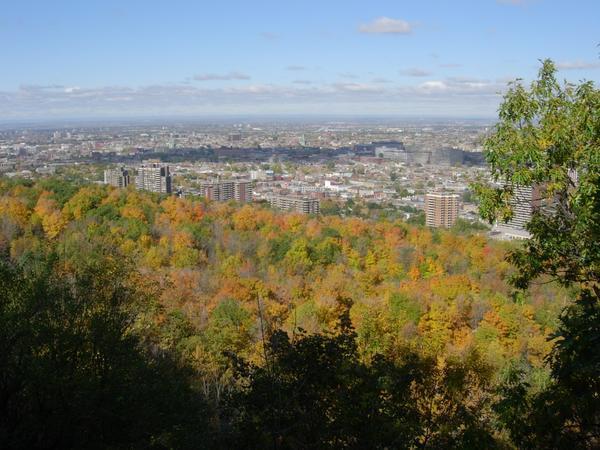 View from atop Mont Royal
