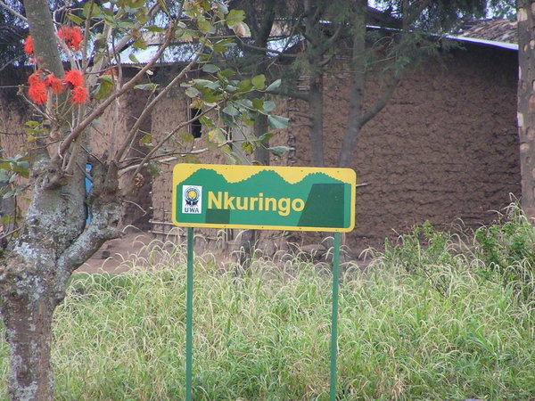 Nkuringo, little did i know this is where Africa's Heart is...