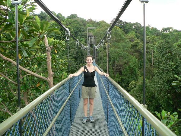 The Very Exciting Treetop walk