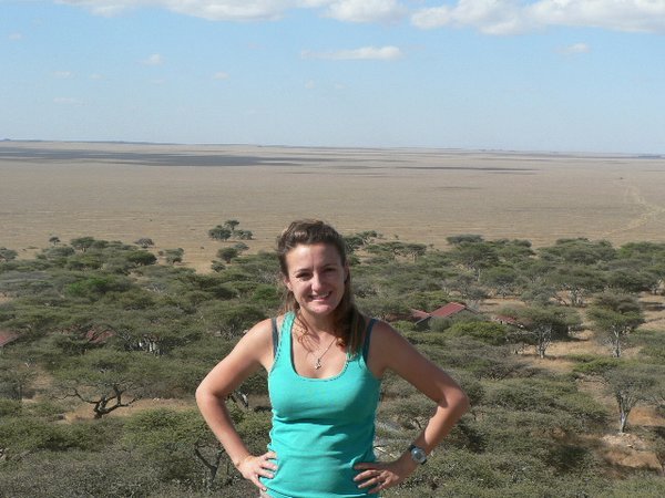 Moo and the Serengeti