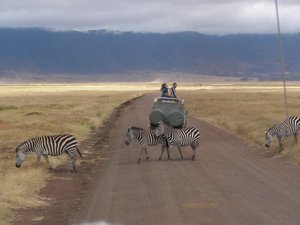 Zebra crossing with me in the back taking the photo