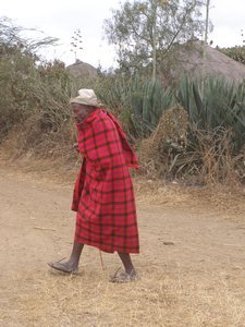 Old Man Masaai